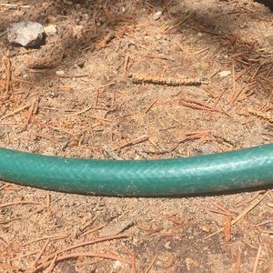 Meet your Posher, Skyler